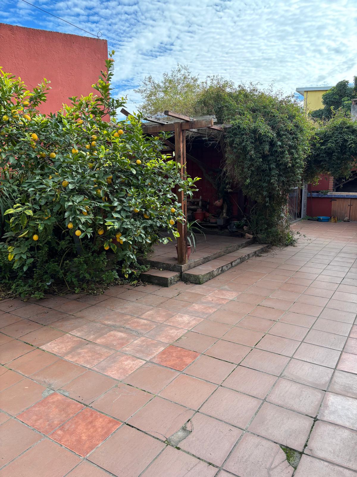 Alberto de Herrera 582 - foto 10