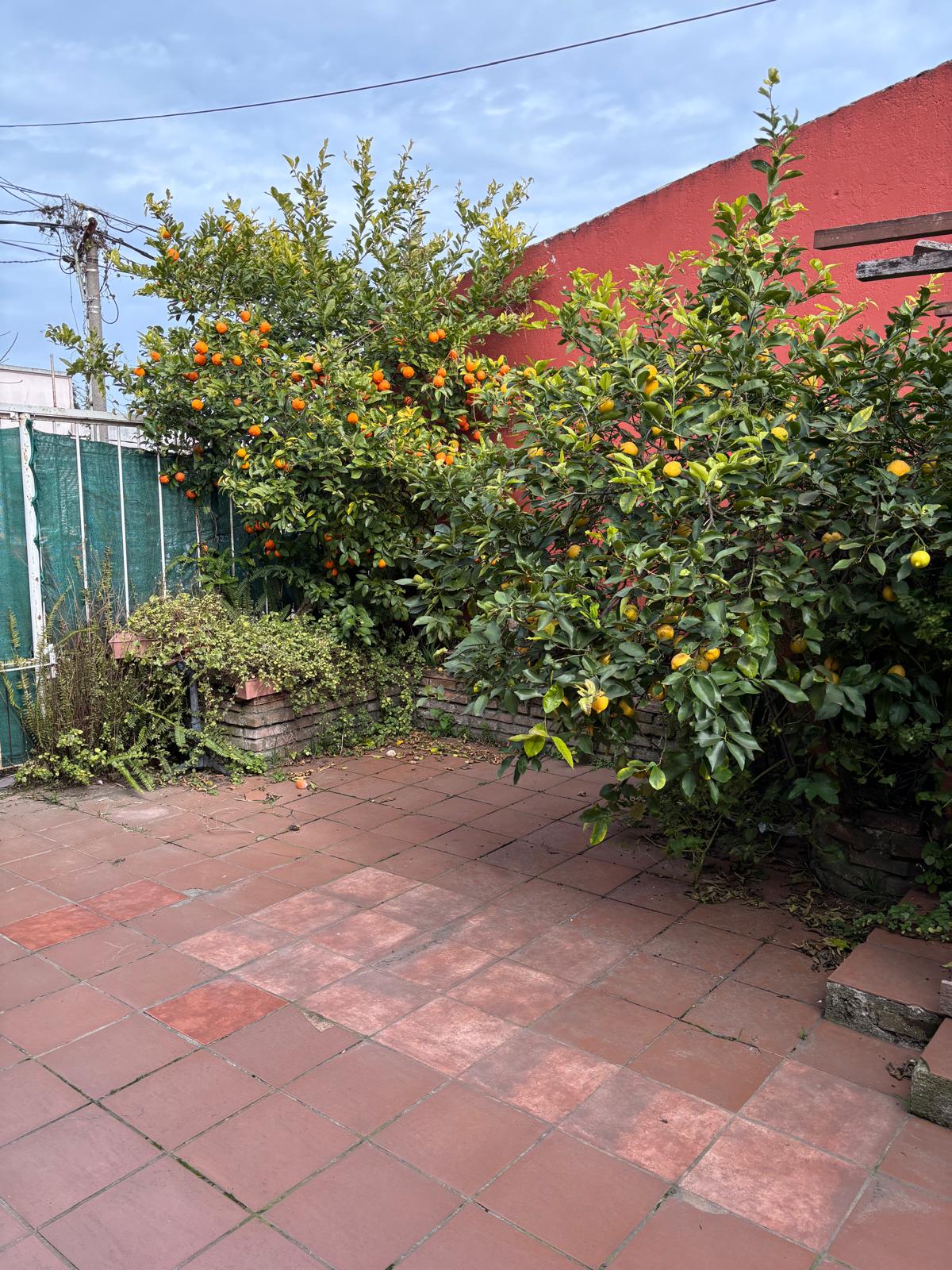 Alberto de Herrera 582 - foto 11